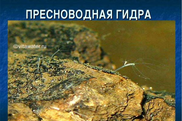 Зеркало blacksprut онион