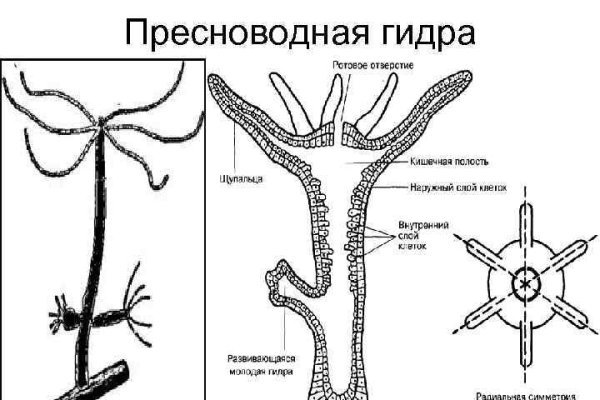 Кракен официальный