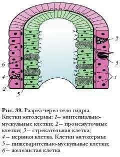Купить героин в москве
